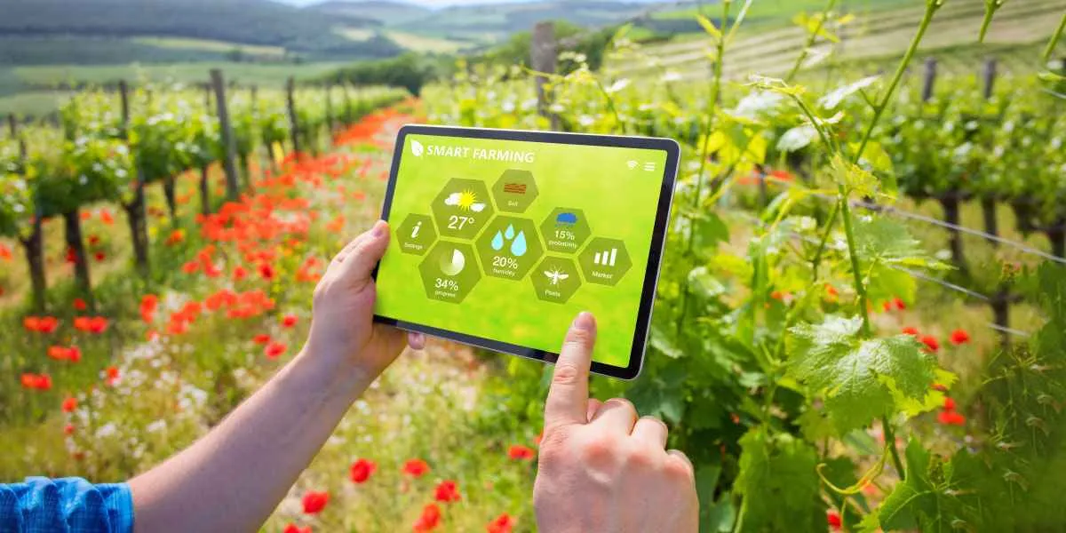 Hand holding a tablet showing smart-farming data in a field