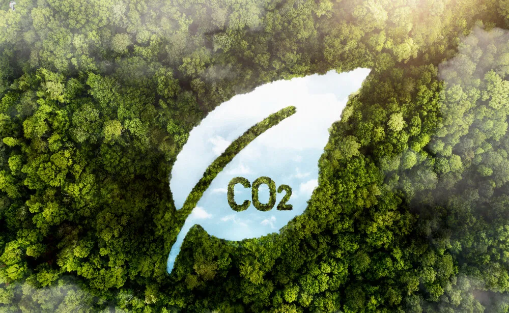 Leaf-shaped clearing with CO2 lettering in a forest canopy
