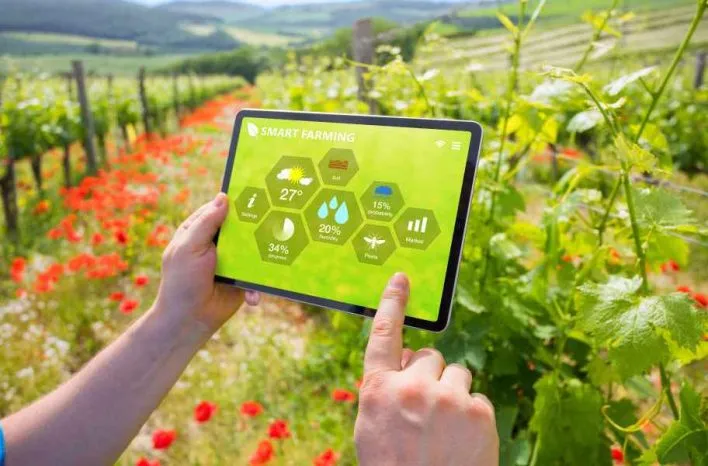 Hand holding a tablet showing smart-farming data in a field