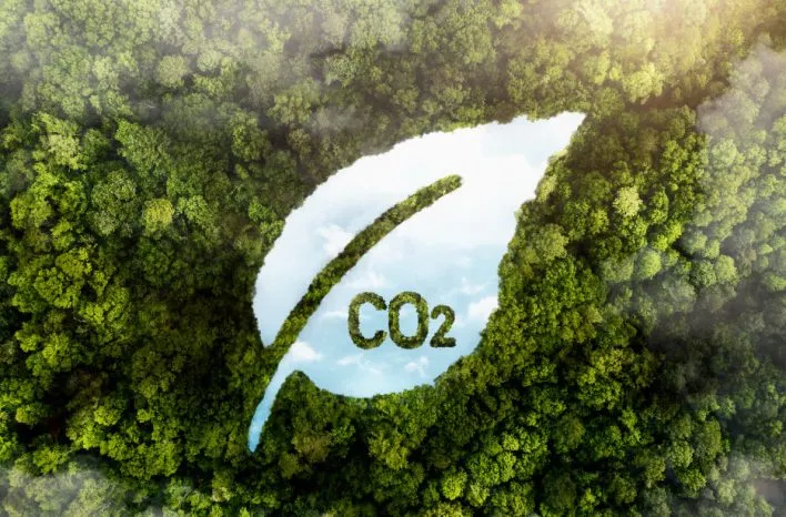 Leaf-shaped clearing with CO2 lettering in a forest canopy