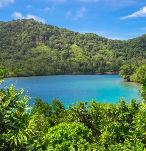 Tropical coastline with dense rainforest