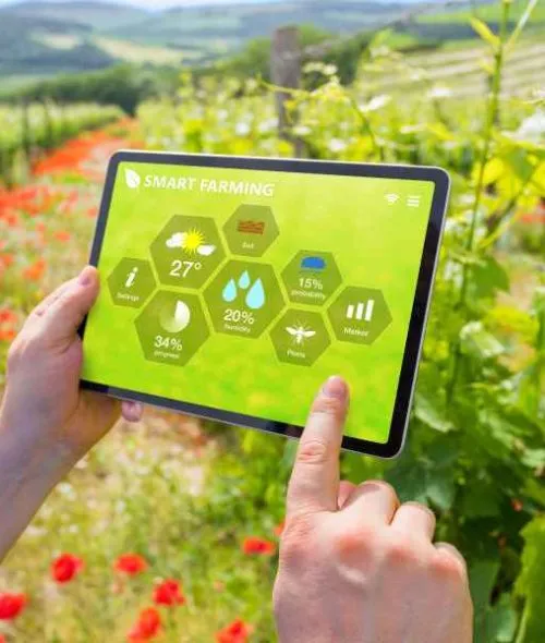 Hand holding a tablet showing smart-farming data in a field