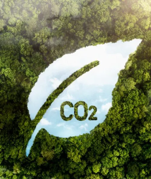 Leaf-shaped clearing with CO2 lettering in a forest canopy